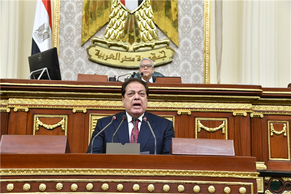 Deputy Speaker of House of Representative at a parliamentary session, date unknown. Source: Mohamed Aboul Enein Facebook Page.